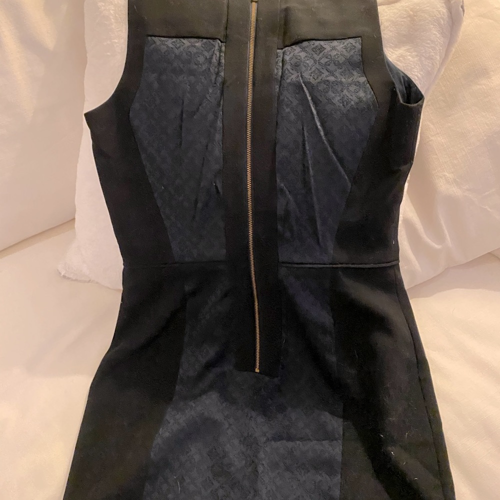 Color blocked Club Monaco dress (Very slimming)